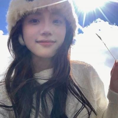 大象与小蝶物语